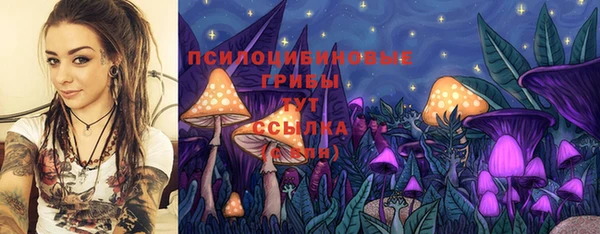 бутират Кукмор