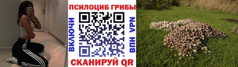Псилоцибиновые грибы GOLDEN TEACHER  Купить где  Балашов 
